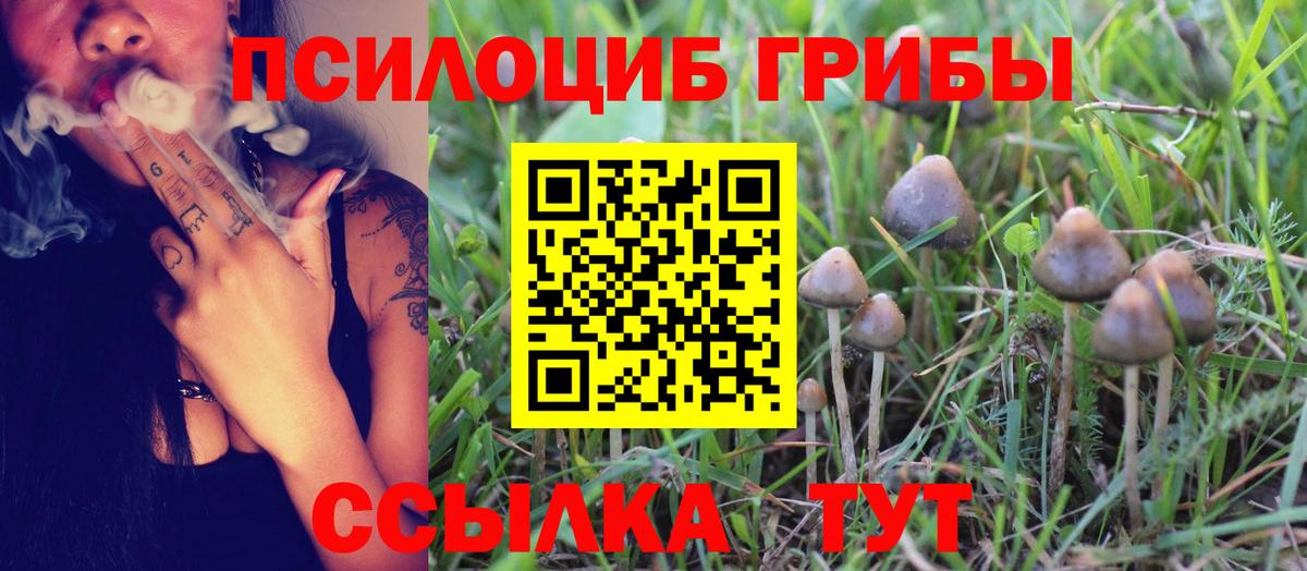 Галлюциногенные грибы MAGIC MUSHROOMS  где можно купить наркотик  Орёл  Вход с VPN 