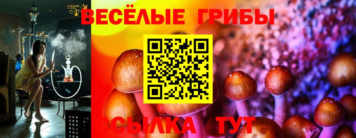 Галлюциногенные грибы ЛСД Орёл